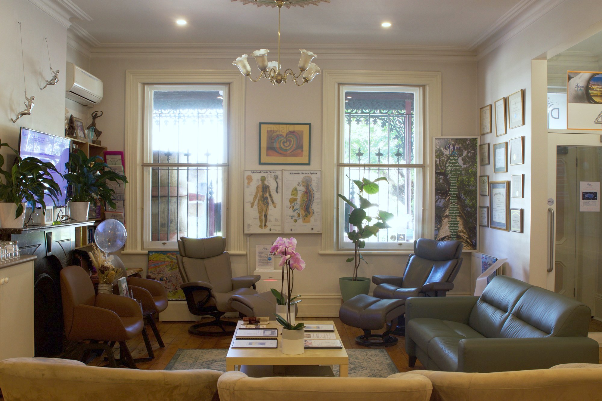 The light-filled lounge at the Diskin Life Centre in Fitzroy – sofas, plants and artwork on the walls